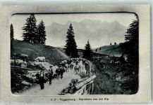 9651 Rietbad 1909 - Heimkehr von der Alp im Toggenburg Ort lt. Stempel