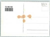 8867 Niederurnen Gebrauchsspuren Fliegeraufnahme