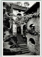 6618 Arcegno - Motivo colla glicene