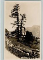 7064 Tschiertschen - Bäume