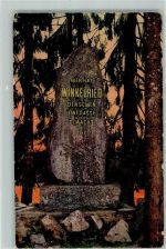 6204 Sempach - Schlachtdenkmal