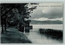 8804 Au ZH 1919 - Halbinsel Au Zürichsee Strandpromenade