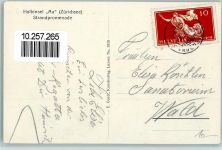 8804 Au ZH 1919 - Halbinsel Au Zürichsee Strandpromenade