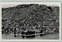 1096 Cully Foto AK Fliegeraufnahme