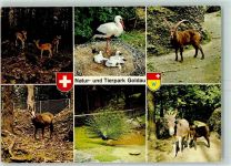 6410 Goldau - Natur und Tierpark Goldau Damhirsche Storch Steinbock Gemse Pfau Esel