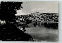 6405 Immensee - Uferansicht Ruderboot