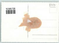 8753 Mollis Gebrauchsspuren Fliegeraufnahme