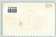 3074 Muri b. Bern - Alpenkette