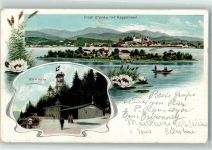 Ufenau Insel 1907 Lithographie Etzel Kulm