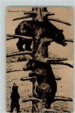 3000 Bern Berne 1913 Künstlerkarte Bärengraben sign Herkis