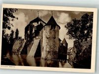 5705 Hallwil Foto AK Schloss