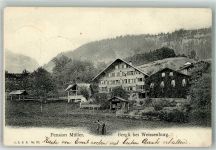 3764 Weissenburg 1905 Foto AK Bergli Pension Müller