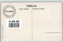 3000 Bern Berne 1910 Künstlerkarte Eindgenossen Festpostkarte sign. Linck