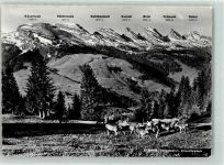 Iltios - Kuhherde Churfirsten