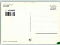 8135 Langnau am Albis - Wildpark Langenberg Wildschweine