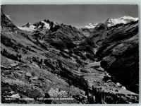 3863 Gadmen - Fünffingerstöcke Sustenhörner