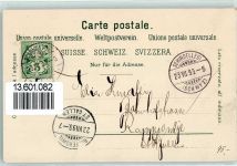 8835 Feusisberg 1899 Lithographie Hotel Feusisgarten