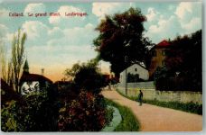 2533 Leubringen Evilard - Le grand tilleul