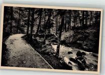 8125 Zollikerberg Foto AK Weg nach der Trichtenhausermühle