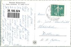 3917 Kippel Foto AK Pension Bietschhorn