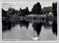 8580 Amriswil 1939 - Pension Weiherhüsli Schwan