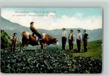 1909 - Bauer sitzt auf einer Kuh - Der Landsturm - Offiziere bei der Kritik - Humor