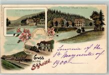 8135 Sihlwald 1900 Lithographie Sihl Gasthaus Brücke Forsthaus Bahnhof Holzsägerei Verlag Künzli Nr 1877