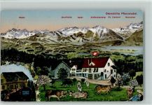 Pfannenstiel Künstlerkarte 1913 Okenshöhe Kühe