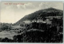 8636 Wald ZH 1910 - Zürcher Sanatorium