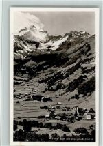 8767 Elm - mit Hausstock