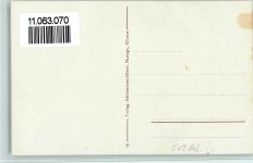 8767 Elm - mit Hausstock