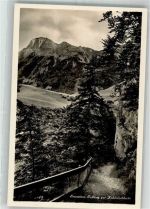 6376 Emmetten Foto AK Fußweg zur Kohltalschlucht