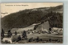 3555 Trubschachen 1916 Foto AK Hotel Kurhaus Bäregghöhe