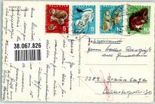 Parsenn 1967 Foto AK Winter Ski-Abfahrt