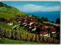 2513 Twann - Douanne Bielersee Reben