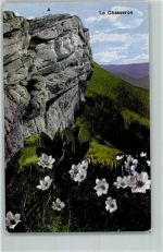 Chasseron - Alpenblumen