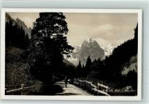 3860 Rosenlaui - Well- und Wetterhorn Spaziergänger Baum