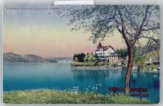 6318 Walchwil - Kurhaus, Zugersee