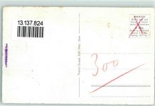 2513 Twann - Twann am Bielersee mit St. Petersinsel