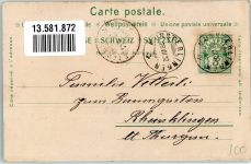 8596 Münsterlingen 1902 Foto AK Pension Schelling