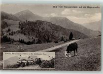 4515 Weissenstein b. Solothurn - Kurhaus Kühe auf der Weide