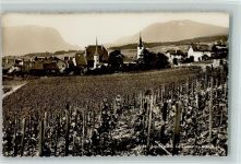 2012 Auvernier - Ortsansicht Weinberge