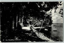 3705 Faulensee - Strandweg