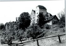5103 Wildegg - Schloss, Bergfried