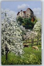 5103 Wildegg - Schloß