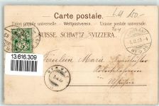 6285 Hitzkirch 1899 Lithographie Schloss Heidegg Krauer-Denkmal Schweiz. Seethalbahn Nr 4