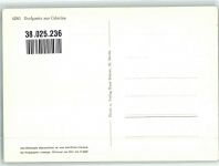 7505 Celerina/Schlarigna Foto AK Dorfpartie