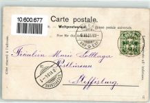 3961 Zinal 1904 - Kühe auf der Weide