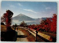 3655 Sigriswil - Niesen