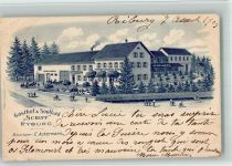4313 Riburg Möhlin 1903 BOAKC Lithographie Gasthaus Soolbad Schiff E. Ackermann